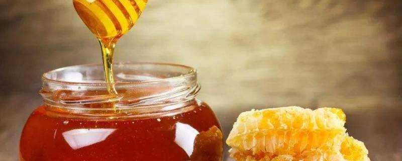 蜂蜜的功效與作用