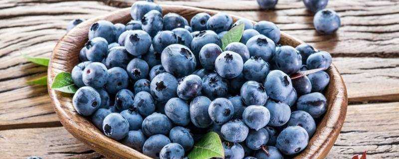 藍莓怎麼挑選