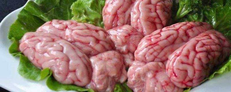 豬腦屬於發物嗎