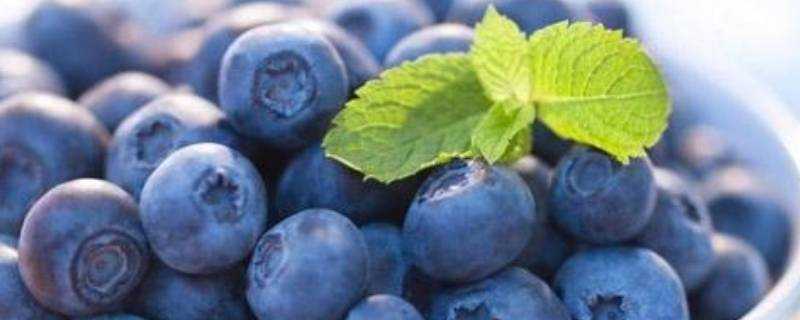 藍莓怎麼吃好