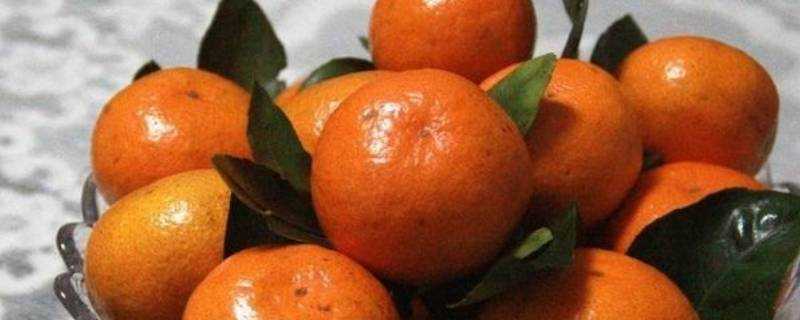 橘子怎麼放熟