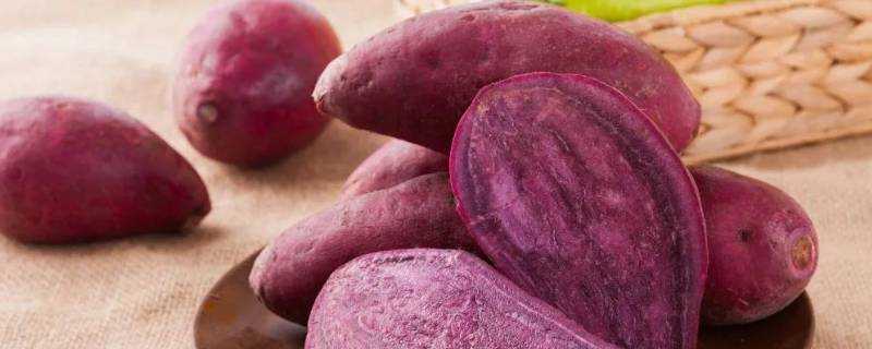 紫薯煮多久會熟