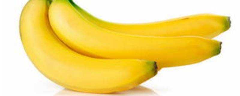 香蕉不熟能吃嗎