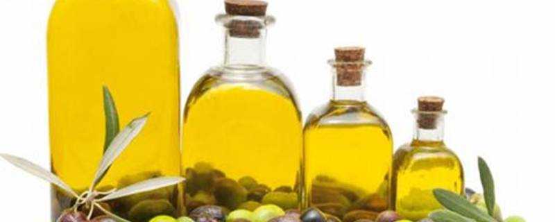 橄欖油怎麼儲存