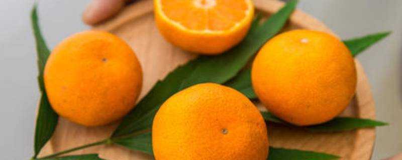 橘子的存放方法
