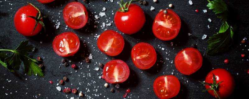 西紅柿怎麼儲存