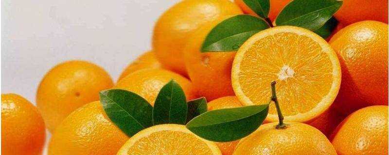 橙子的好處有哪些