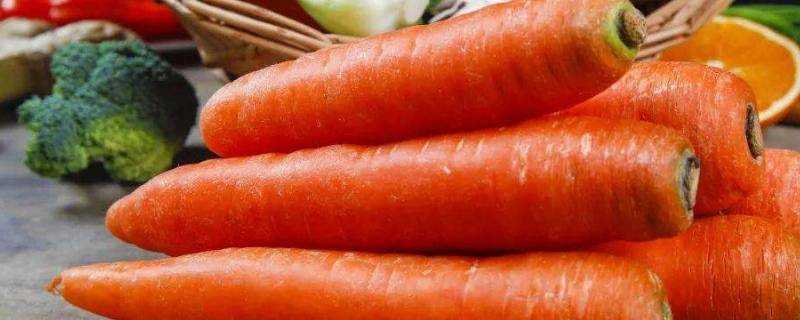 胡蘿蔔生吃的好處