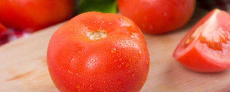 西紅柿可以生吃嗎