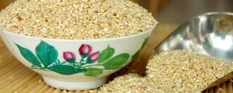 糙米是粗糧嗎