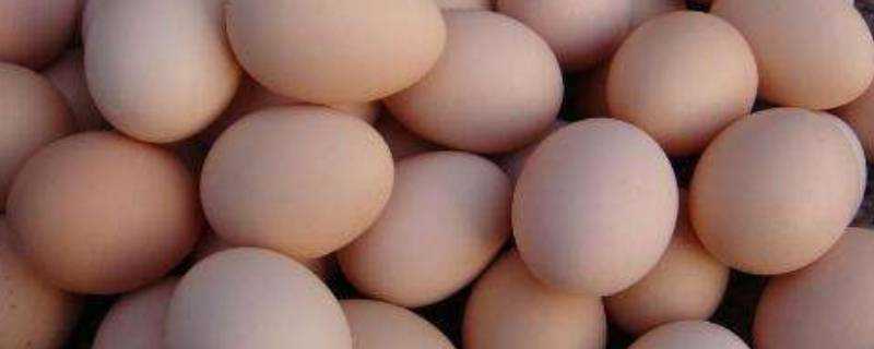 雞蛋可以生吃嗎