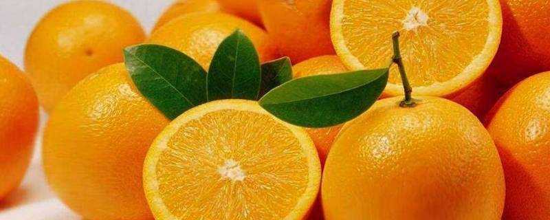 橙子的作用是什麼