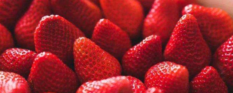 草莓隔夜可以吃嗎