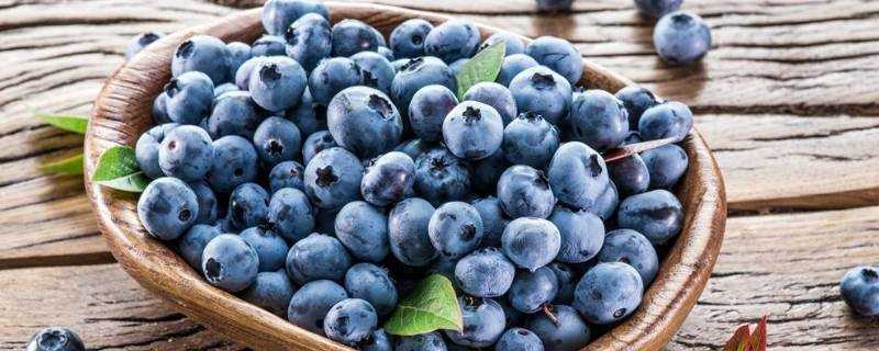 藍莓變質怎麼辨別