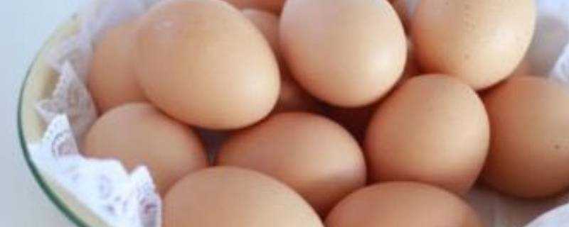 雞蛋可以儲存多久