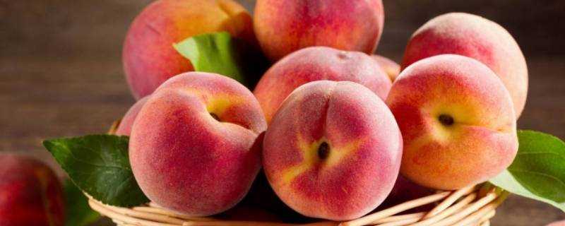 水蜜桃能放冰箱嗎