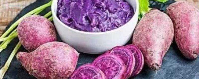 紫薯蒸多長時間