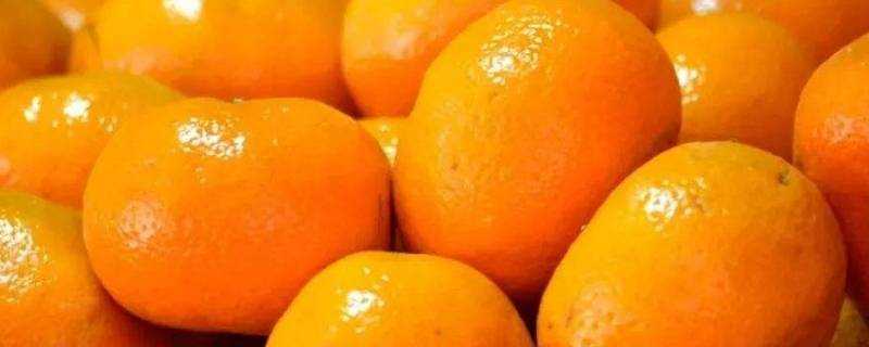 橘子可以放冰箱嗎