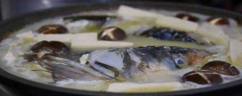 鰱魚湯怎麼會發苦