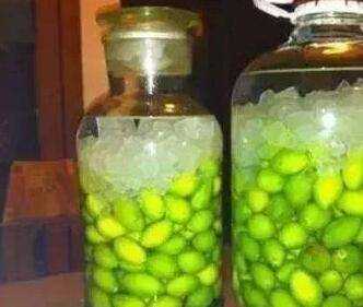 橄欖酒的泡製方法