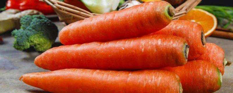 胡蘿蔔變質的表現