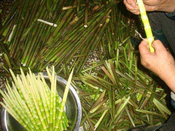 細竹筍怎麼處理