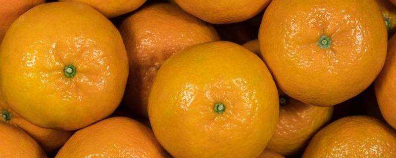 新鮮橘子能放多久