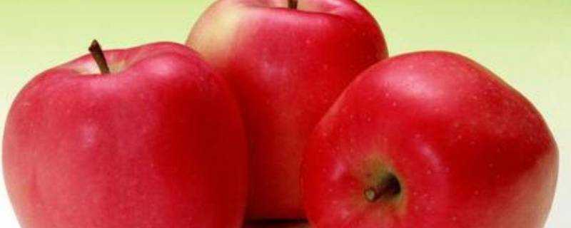 蘋果切開多久不能吃