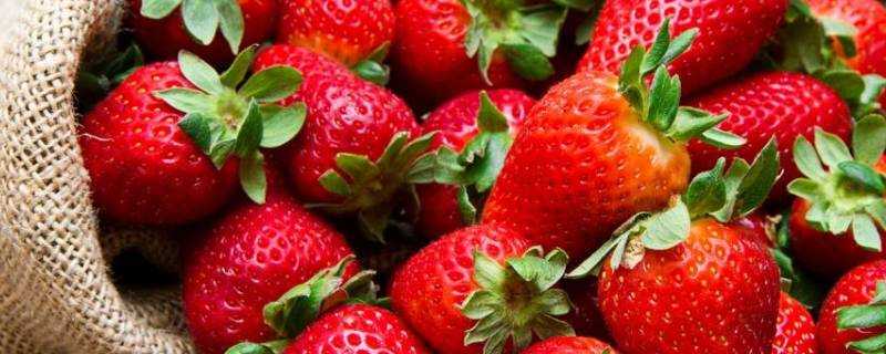 草莓空心是什麼原因
