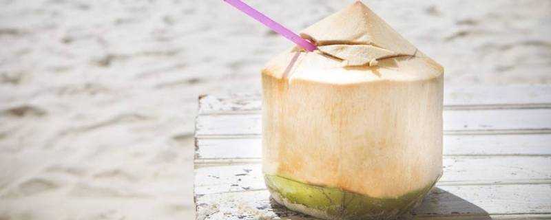 新鮮椰子水糖分高嗎