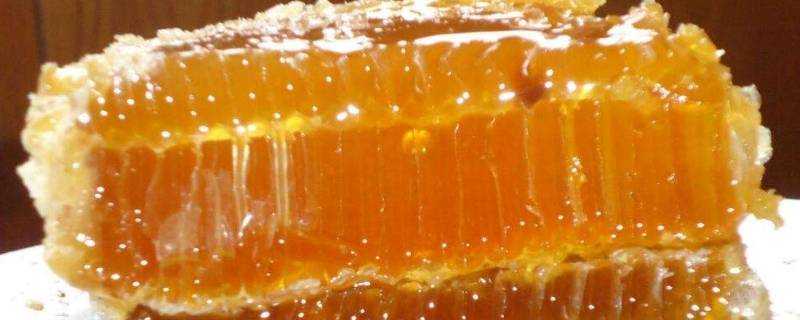 荔枝蜂蜜保質期多久
