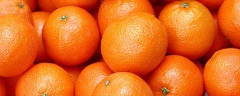 臍橙常溫可以放多久