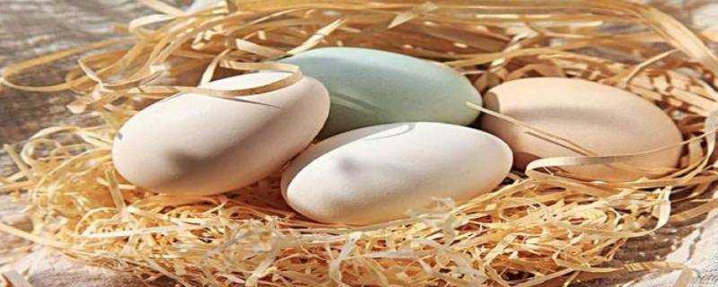 雞蛋怎麼儲存不發黴