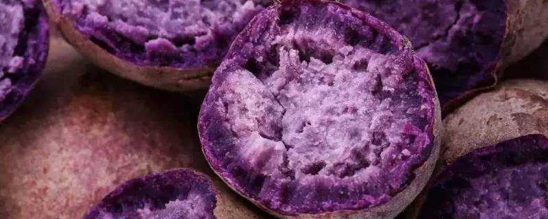 紫薯蒸熟了能放幾天