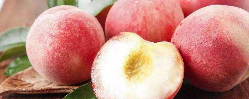 桃子能放冷凍裡面嗎