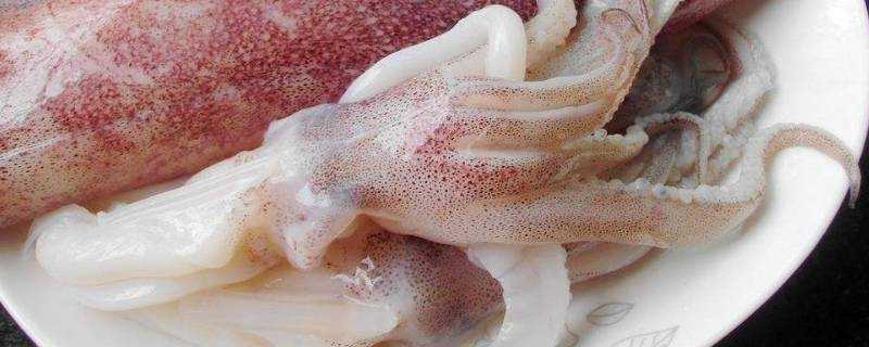 泡好的魷魚怎麼切花