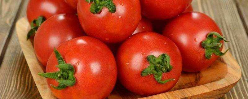 西紅柿沒有籽能吃嗎