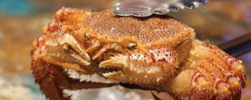 螃蟹哪些部位不能吃