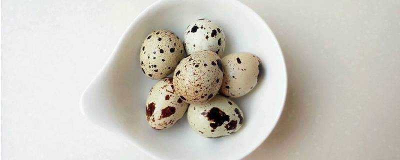 生的鵪鶉蛋能放多久