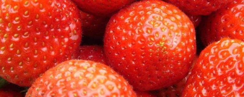 草莓的正確清洗方法