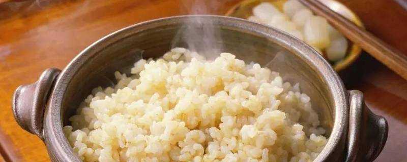 米飯不熟該怎麼處理