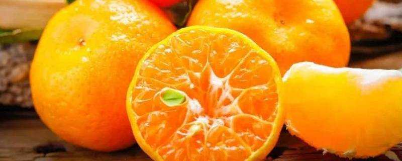 橘子怎麼催熟