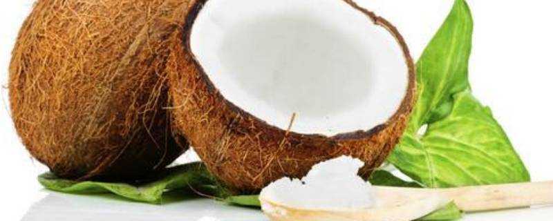 椰子有什麼營養和功效