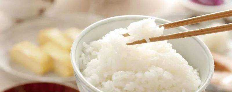 白米飯放冰箱可以放多久