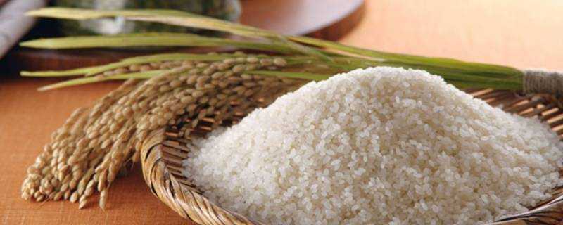 米類都有什麼米
