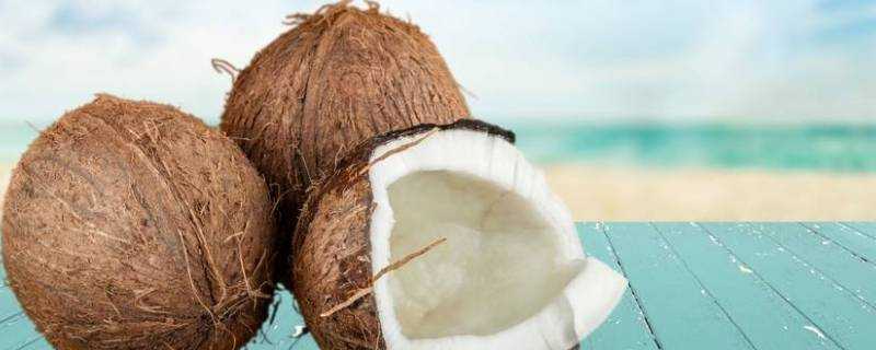 椰子能儲存多久