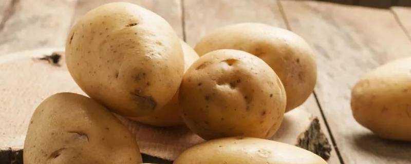 土豆怎麼儲存才不長芽