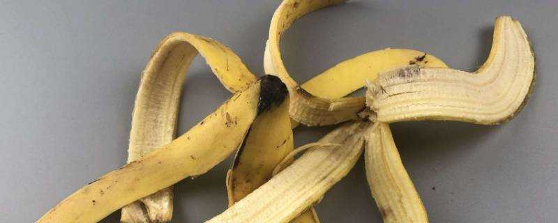 香蕉皮有什麼用途