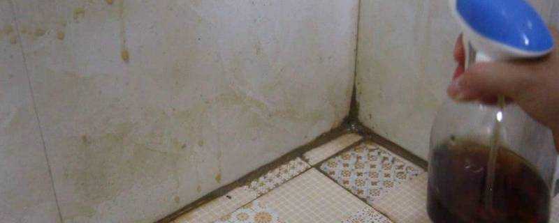 浴室瓷磚怎麼清潔