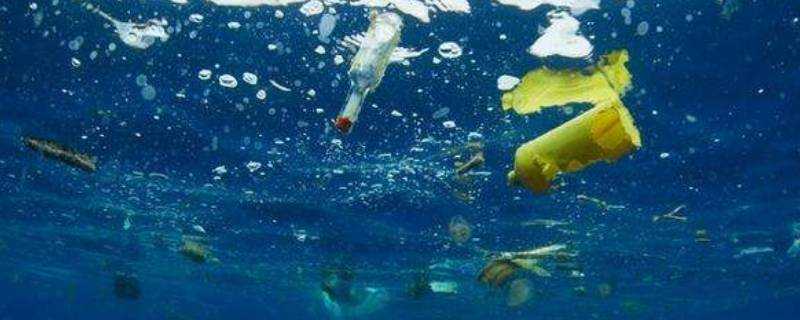 為什麼海洋生物會吞食塑膠